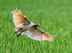 安心!隊友会員の病気・ケガの補償をします(^_^)